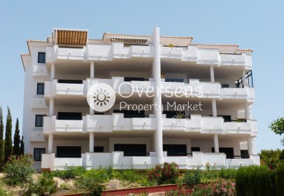 Ático - Obra nueva - Orihuela Costa -
                Orihuela Costa