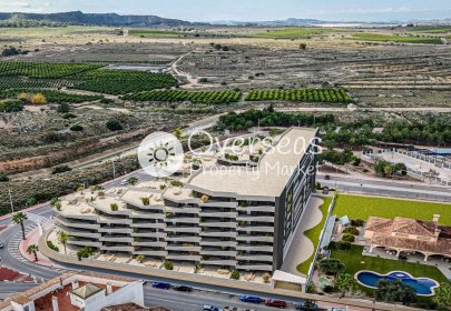 Ground floor apartment - Nieuwbouw Woningen - San Miguel de Salinas -
                San Miguel de Salinas