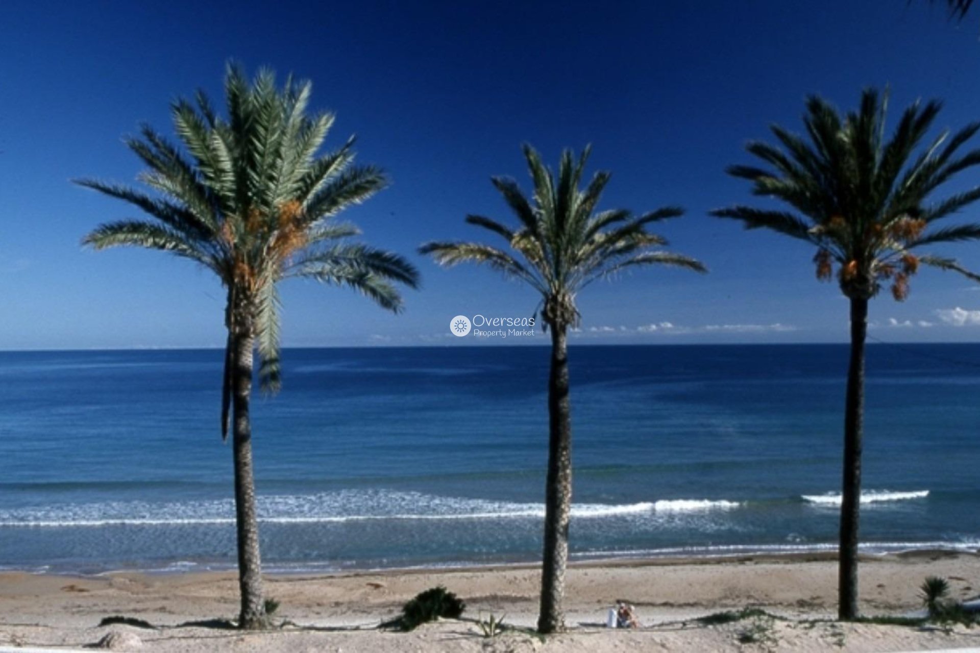 Neue Gebäude - Ground Floor Bungalow -
Pilar de La Horadada
