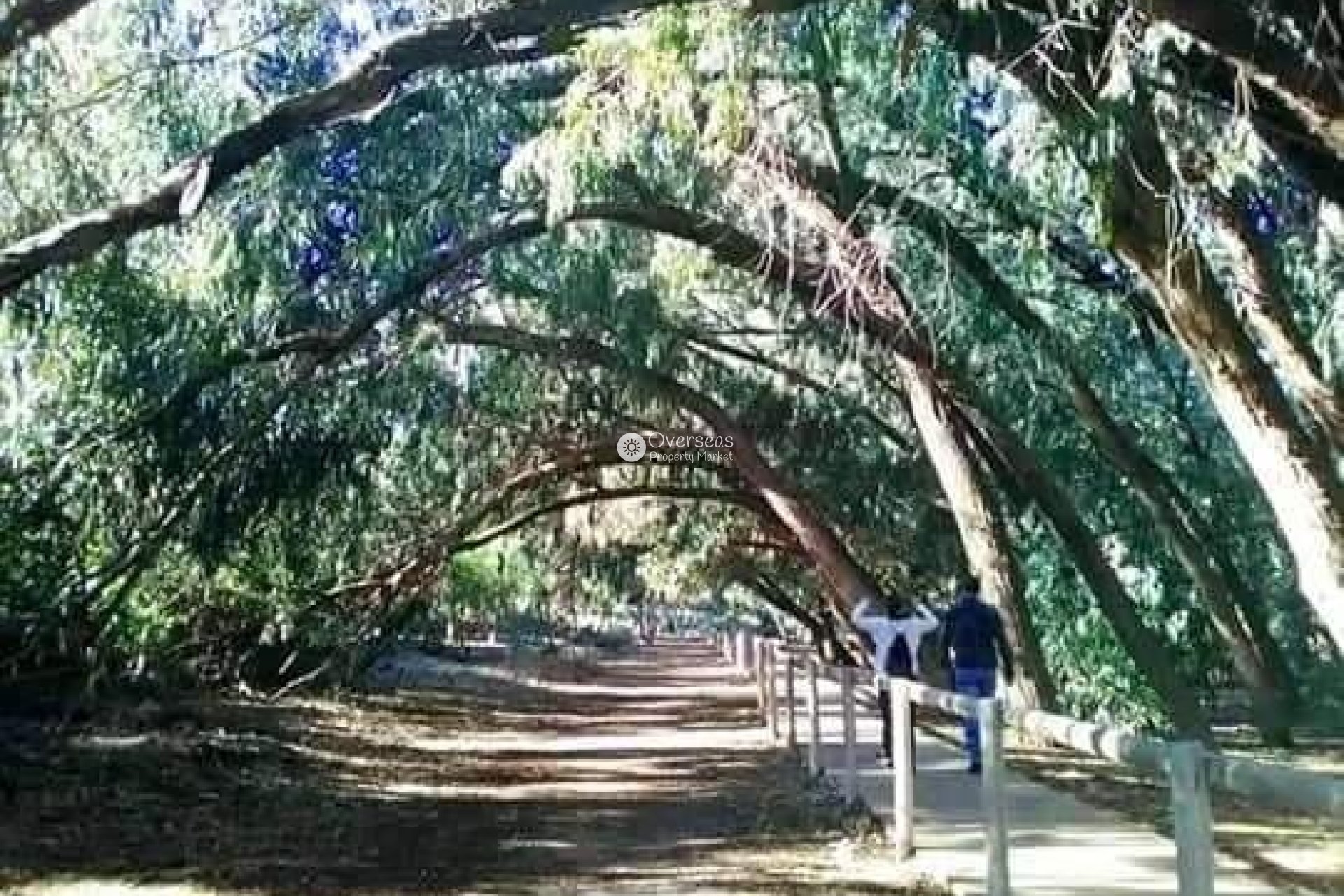 Neue Gebäude - Ground Floor Bungalow -
Torrevieja