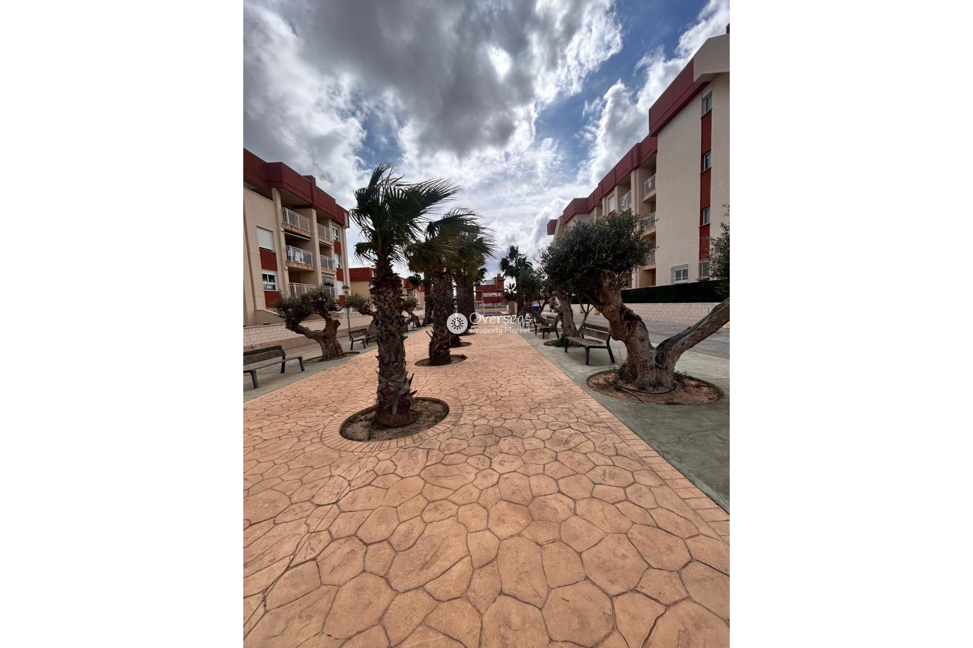 Neue Gebäude - Penthouse -
Orihuela Costa