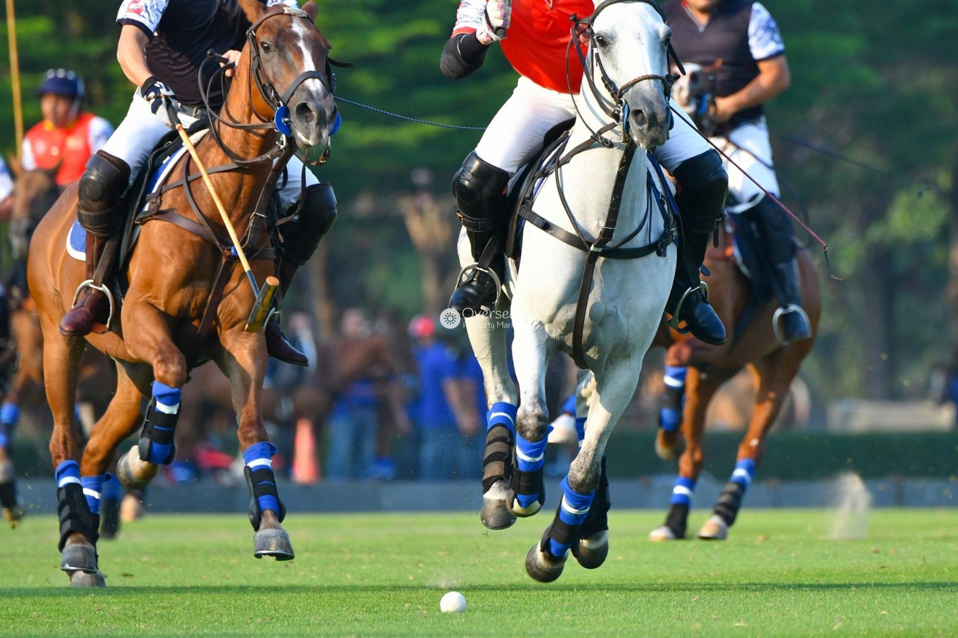 Neue Gebäude - Wohnung -
Manilva