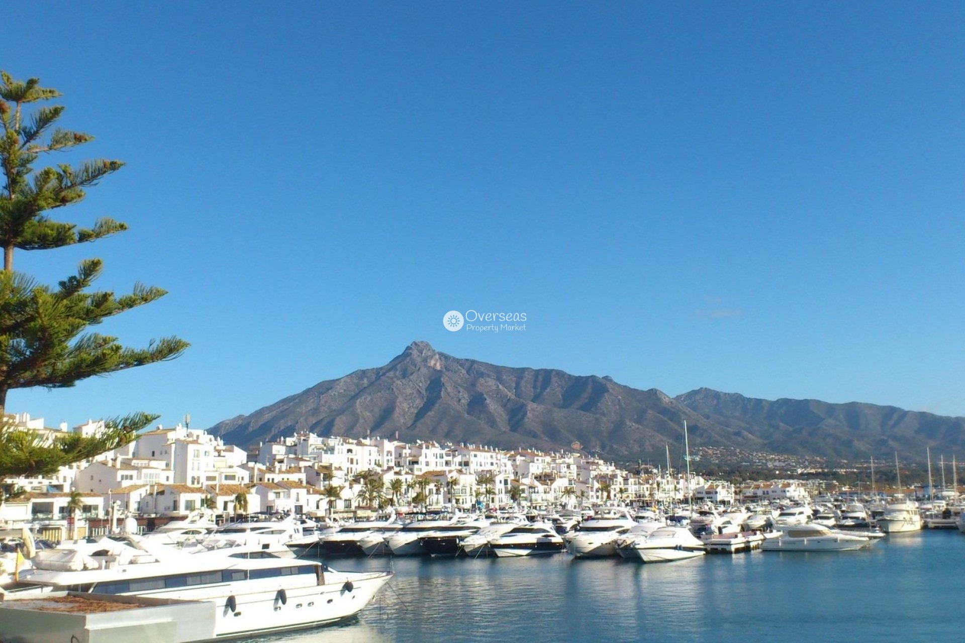 New Build - Apartment / flat -
Marbella - Nueva Andalucia