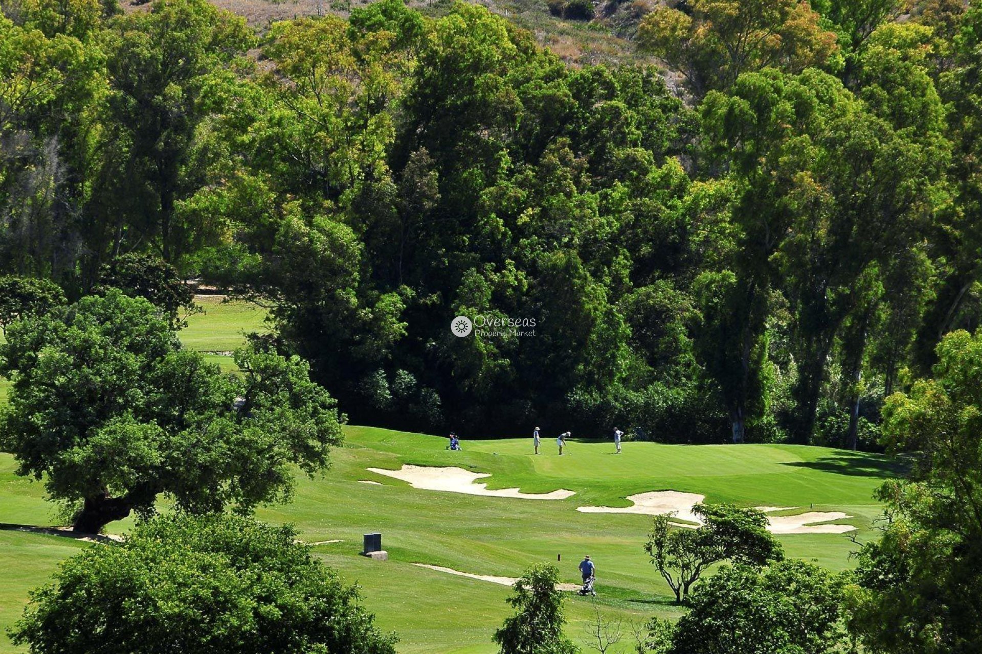New Build - Apartment / flat -
Mijas - Mijas Golf