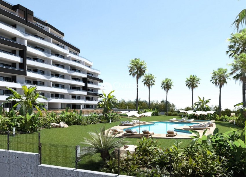 New Build - Apartment / flat -
San Miguel de Salinas - Pueblo