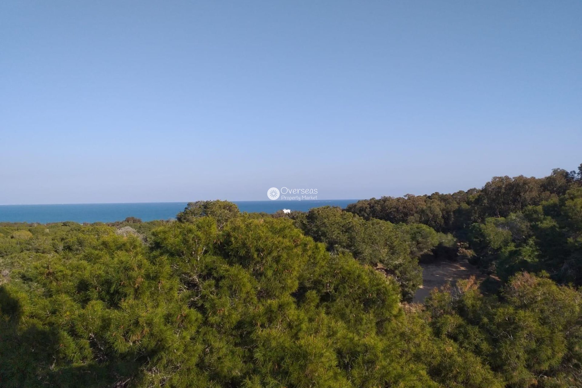 New Build - Ground floor apartment -
Guardamar del Segura