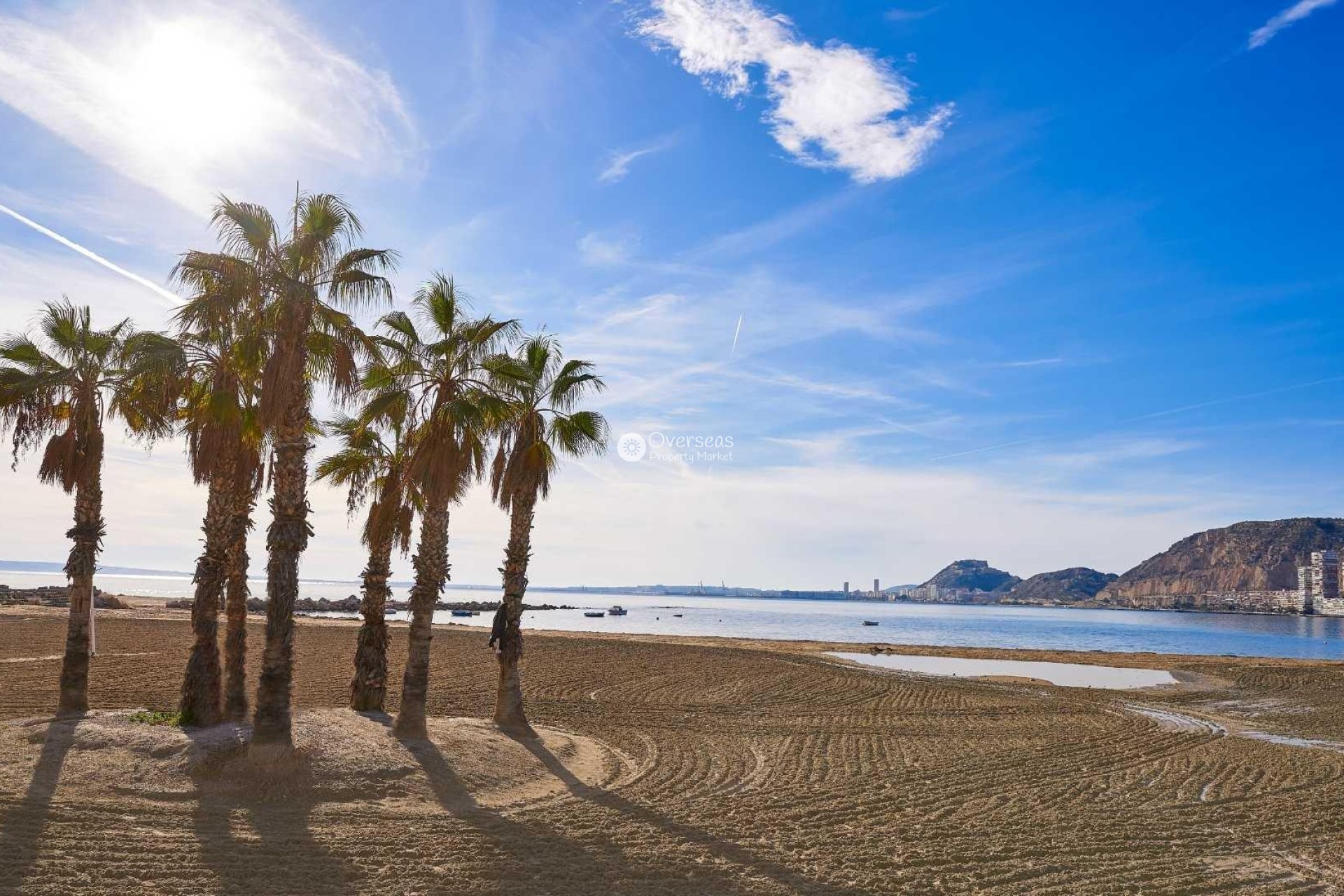 New Build - Villa -
Els Poblets