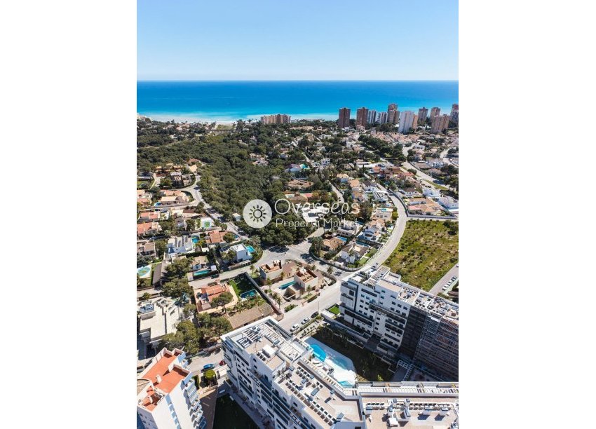 New Build - Villa -
Orihuela Costa