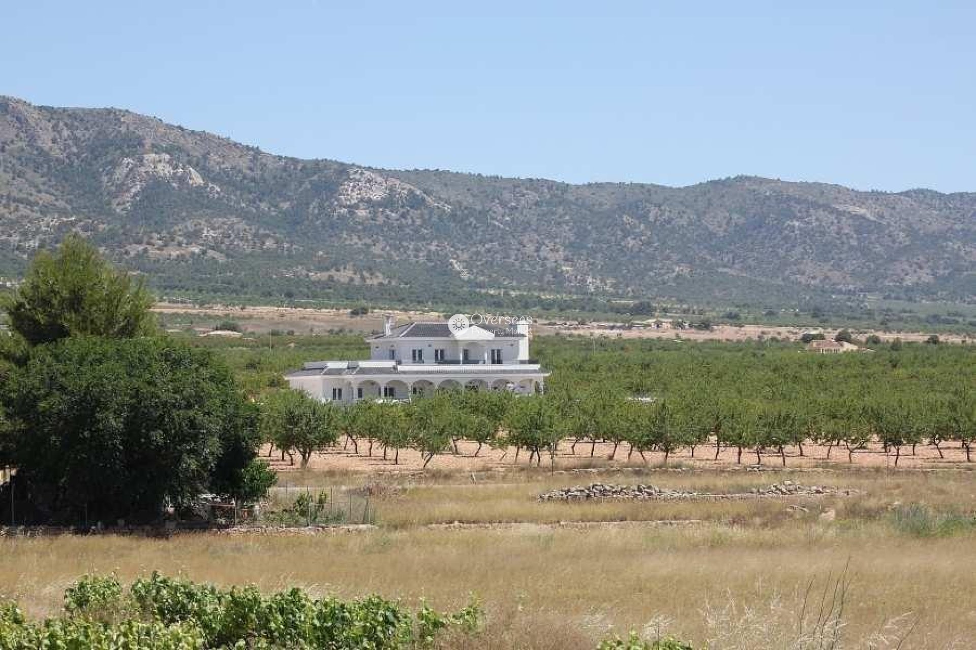 New Build - Villa -
Pinoso - Camino Del Prado