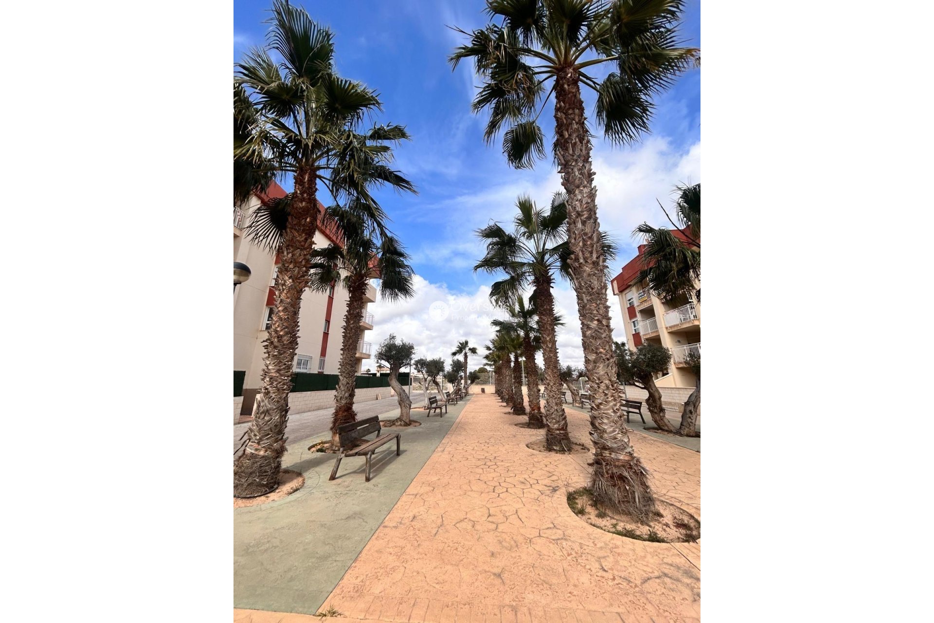 Nieuwbouw Woningen - Appartement / flat -
Orihuela Costa - Lomas de Cabo Roig