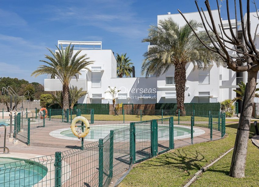 Nieuwbouw Woningen - Ground floor apartment -
Vera