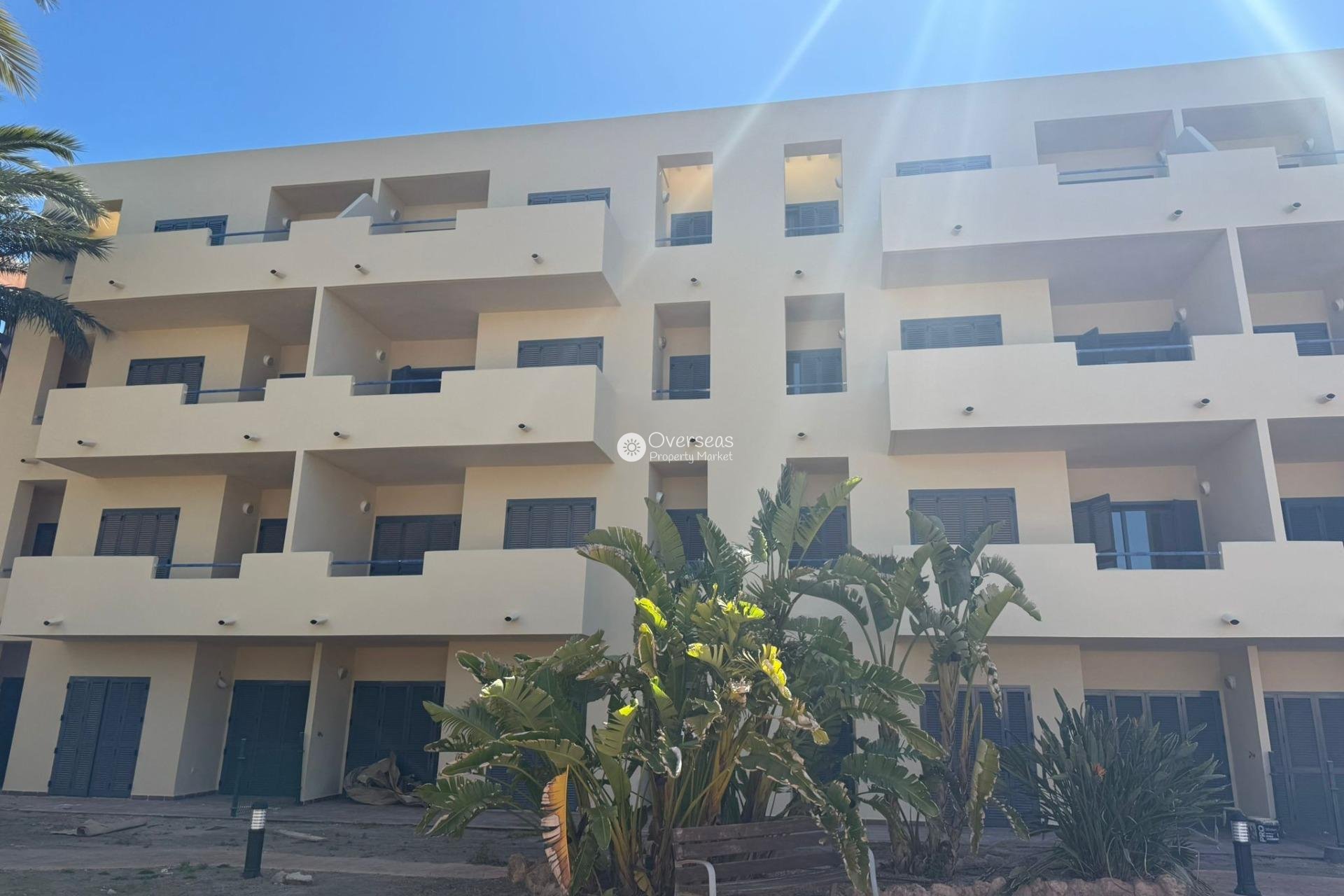 Nieuwbouw Woningen - Ground floor apartment -
Vera