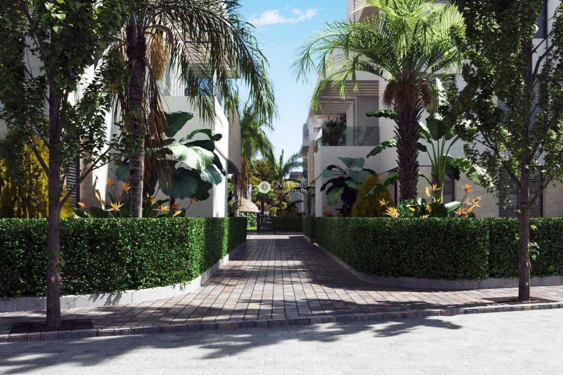 Nieuwbouw Woningen - Penthouse -
Torre Pacheco