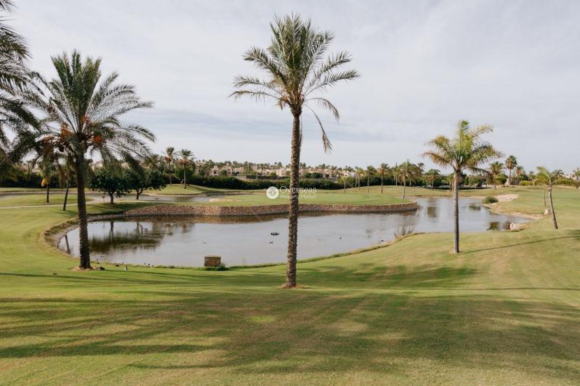 Nieuwbouw Woningen - Semidetached -
San Javier