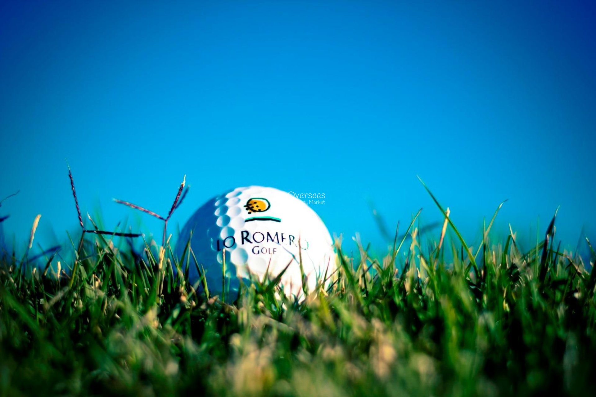 Nieuwbouw Woningen - Villa -
Pilar de La Horadada