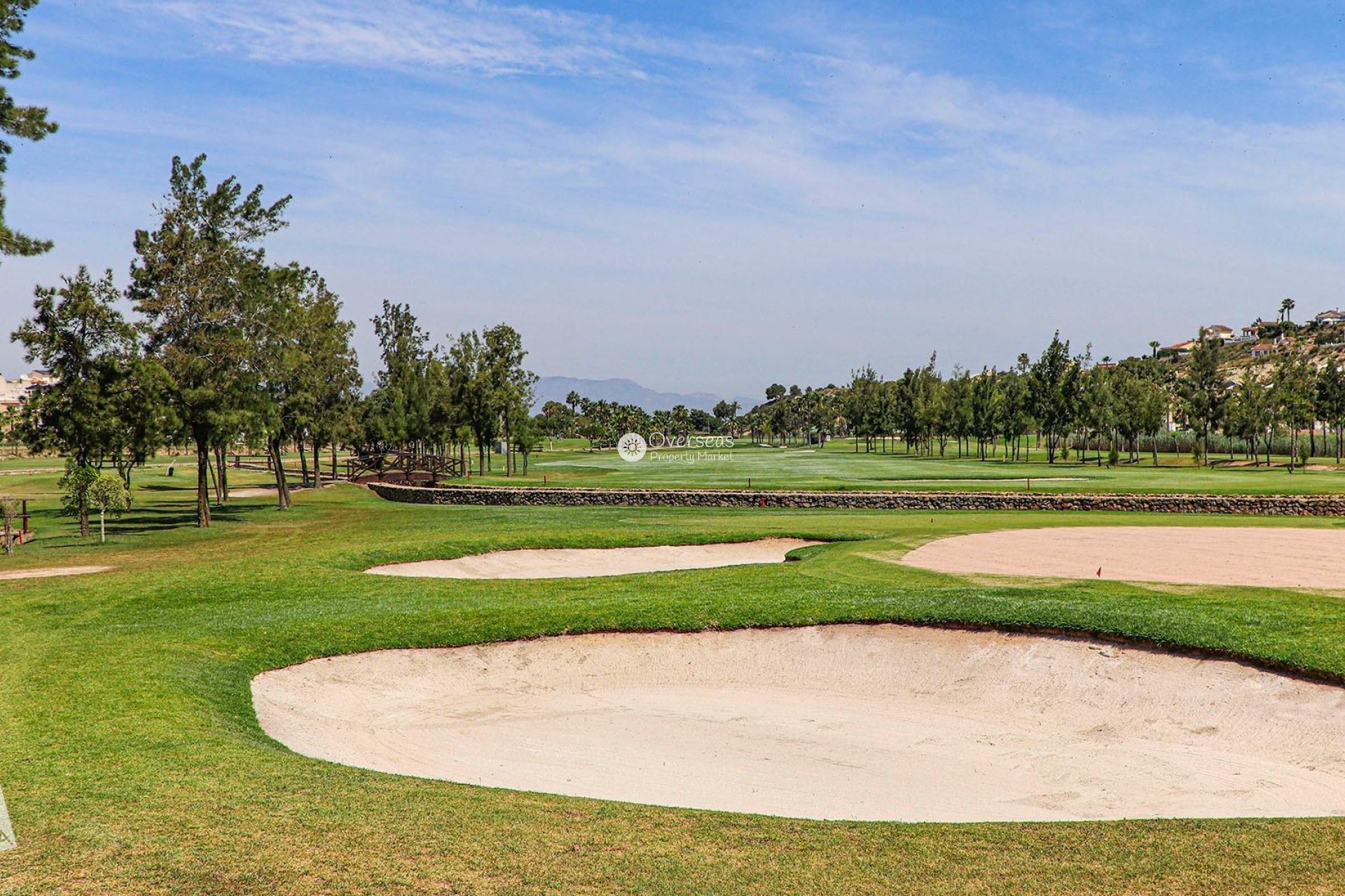 Nieuwbouw Woningen - Villa -
Rojales