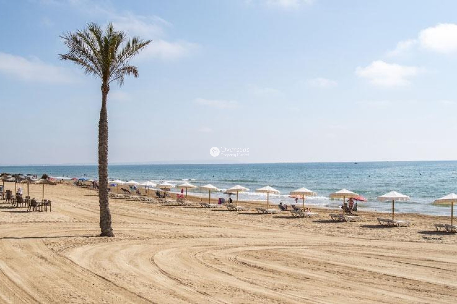 Nouvelle construction - Appartement -
Guardamar del Segura