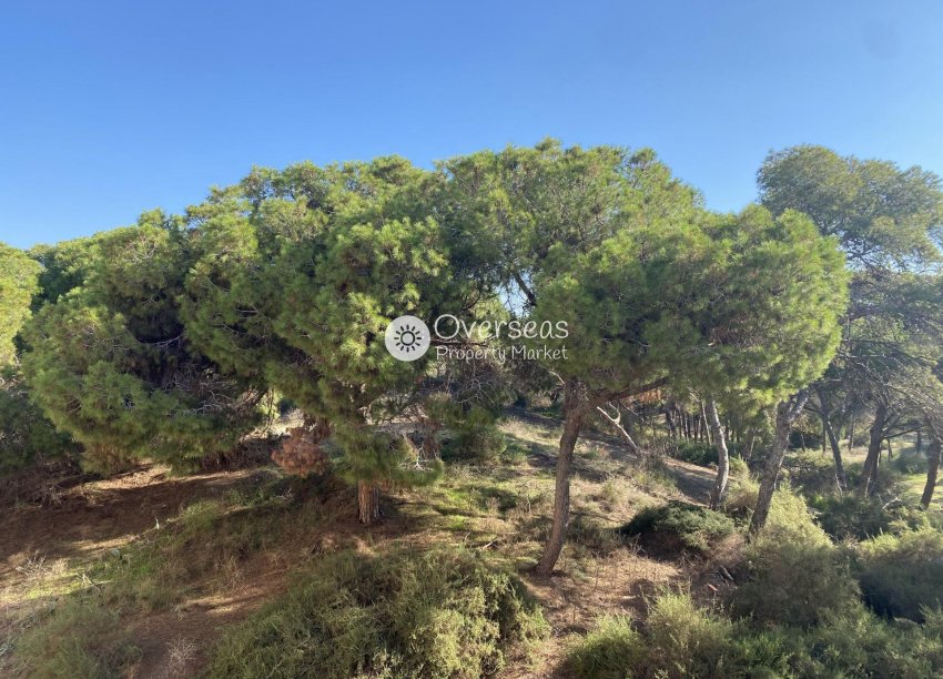 Nouvelle construction - Appartement -
Guardamar del Segura