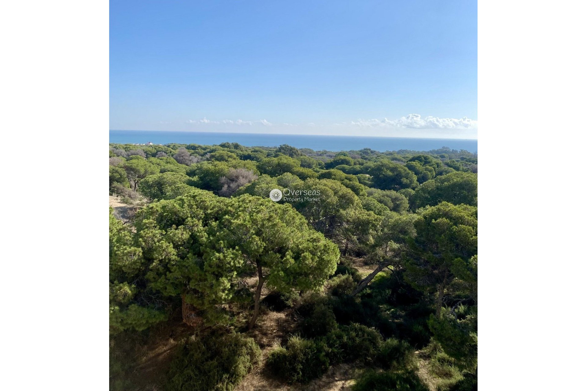 Nouvelle construction - Appartement -
Guardamar del Segura