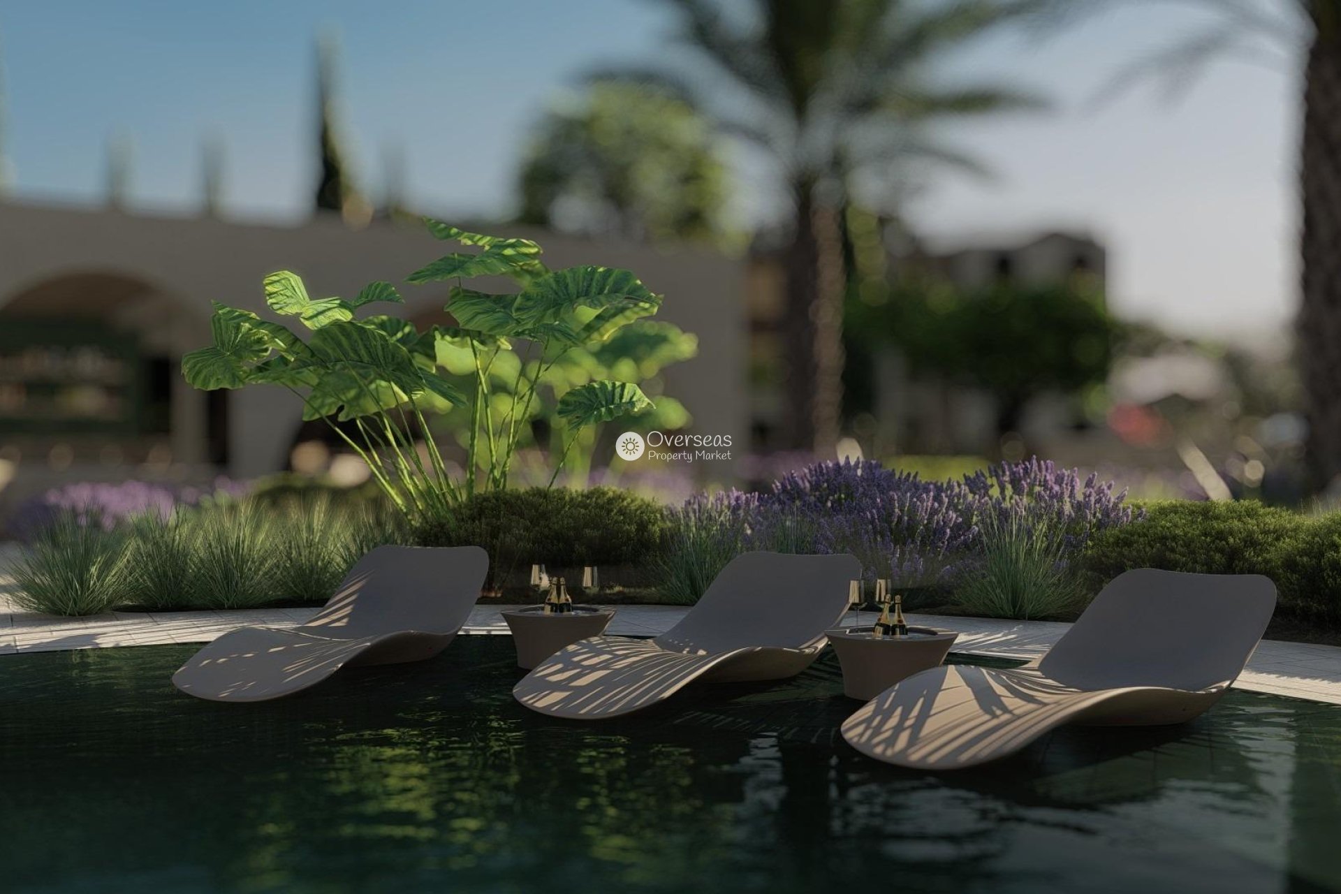 Nouvelle construction - Appartement -
Monda