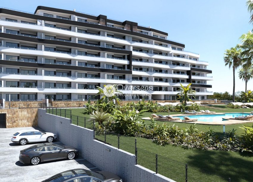 Nouvelle construction - Attique -
San Miguel de Salinas - Pueblo