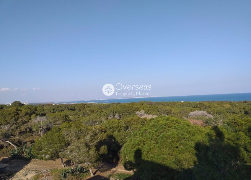 Nouvelle construction - Ground floor apartment -
Guardamar del Segura