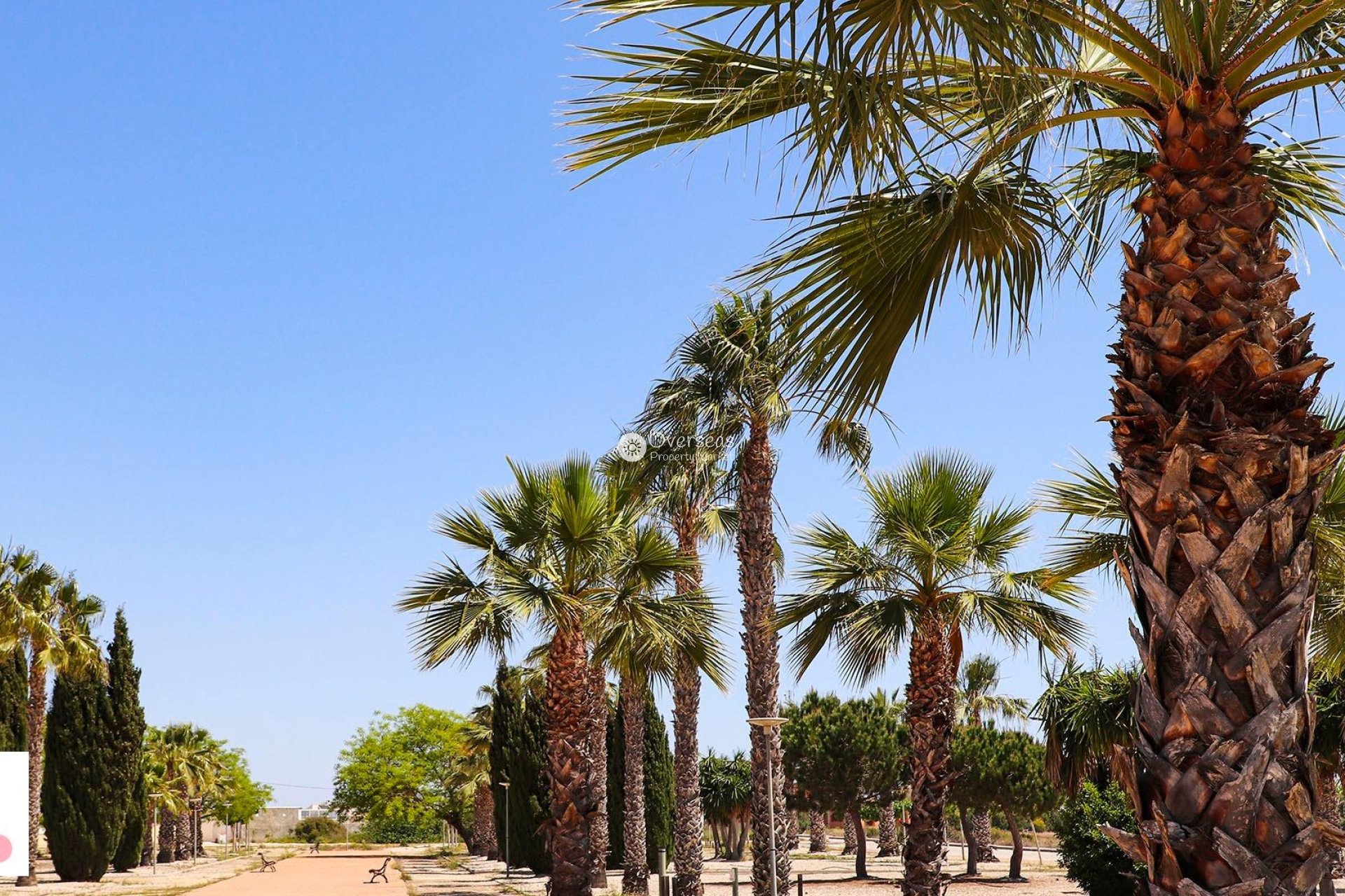 Nouvelle construction - Villa -
San Fulgencio