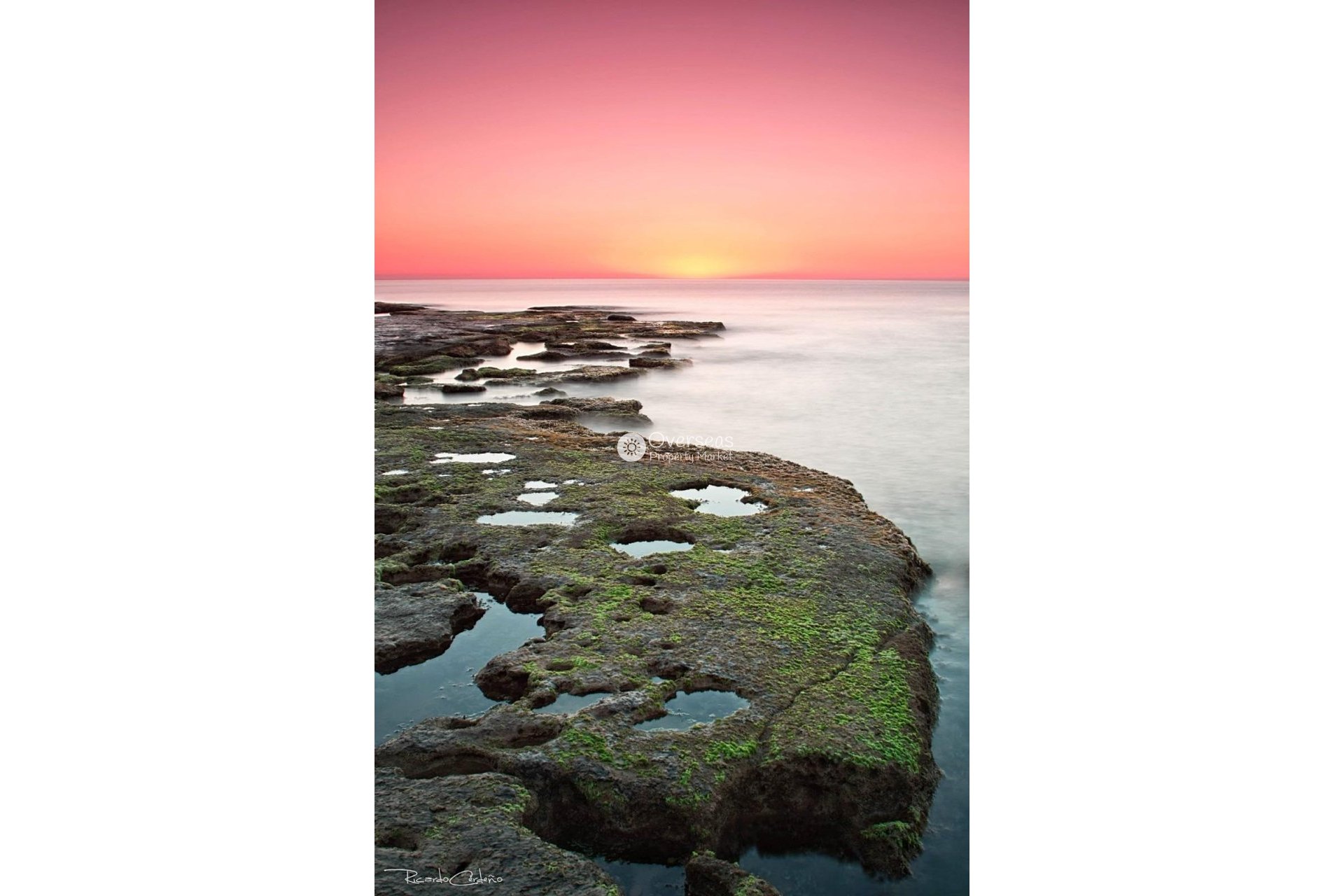 Nowy budynek - Bungalow -
Torrevieja - Altos del Sol