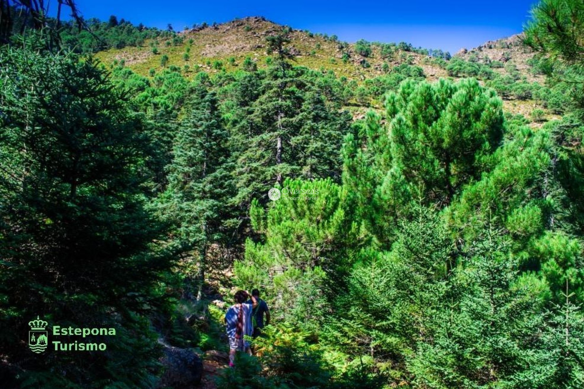 Nowy budynek - Daszek -
Estepona