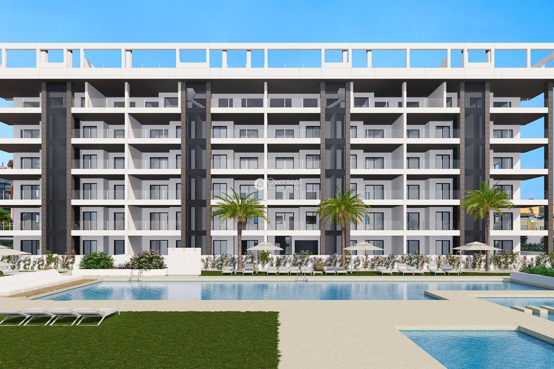 Nowy budynek - Daszek -
Torrevieja - Torreblanca