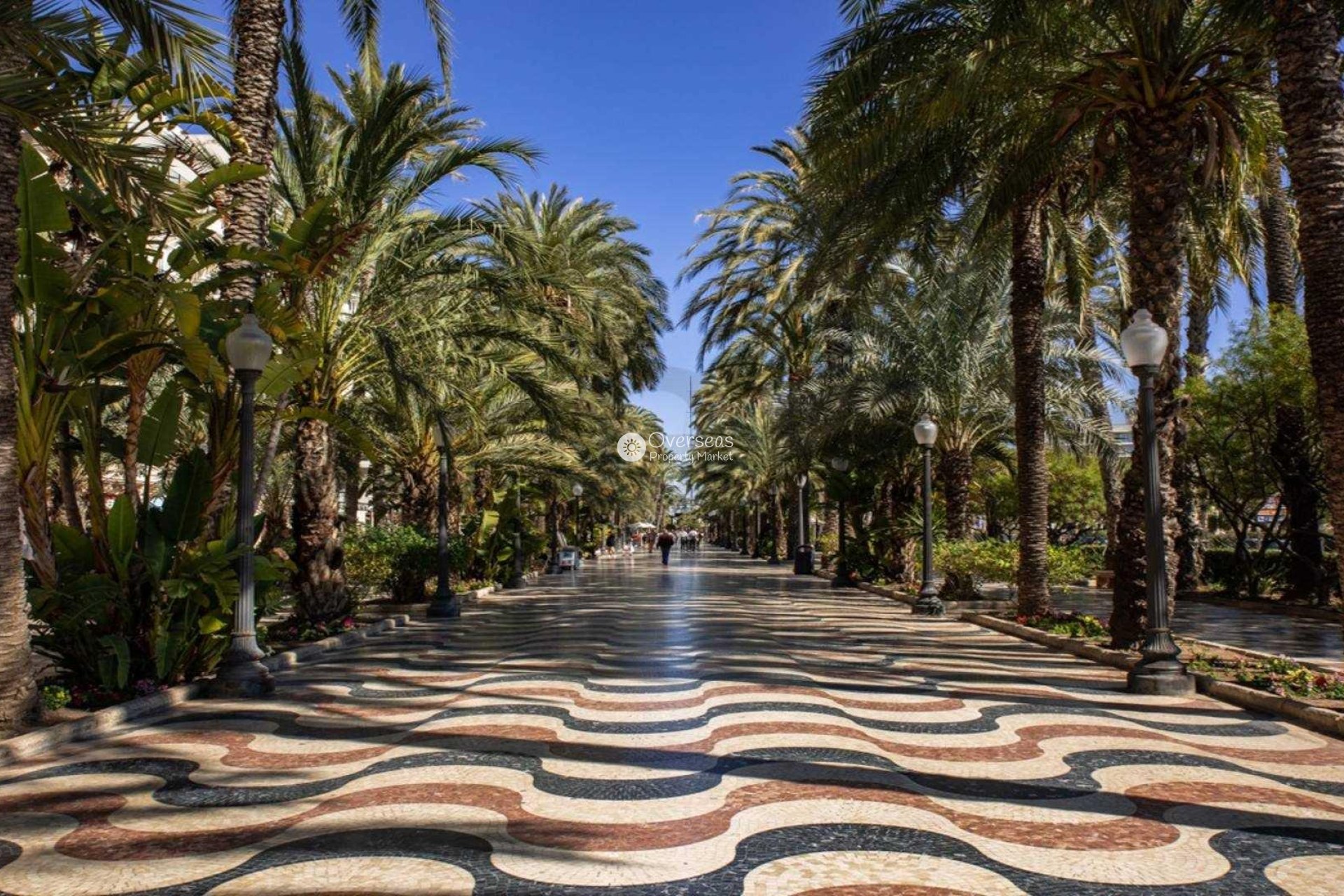 Nowy budynek - Ground floor apartment -
Alicante