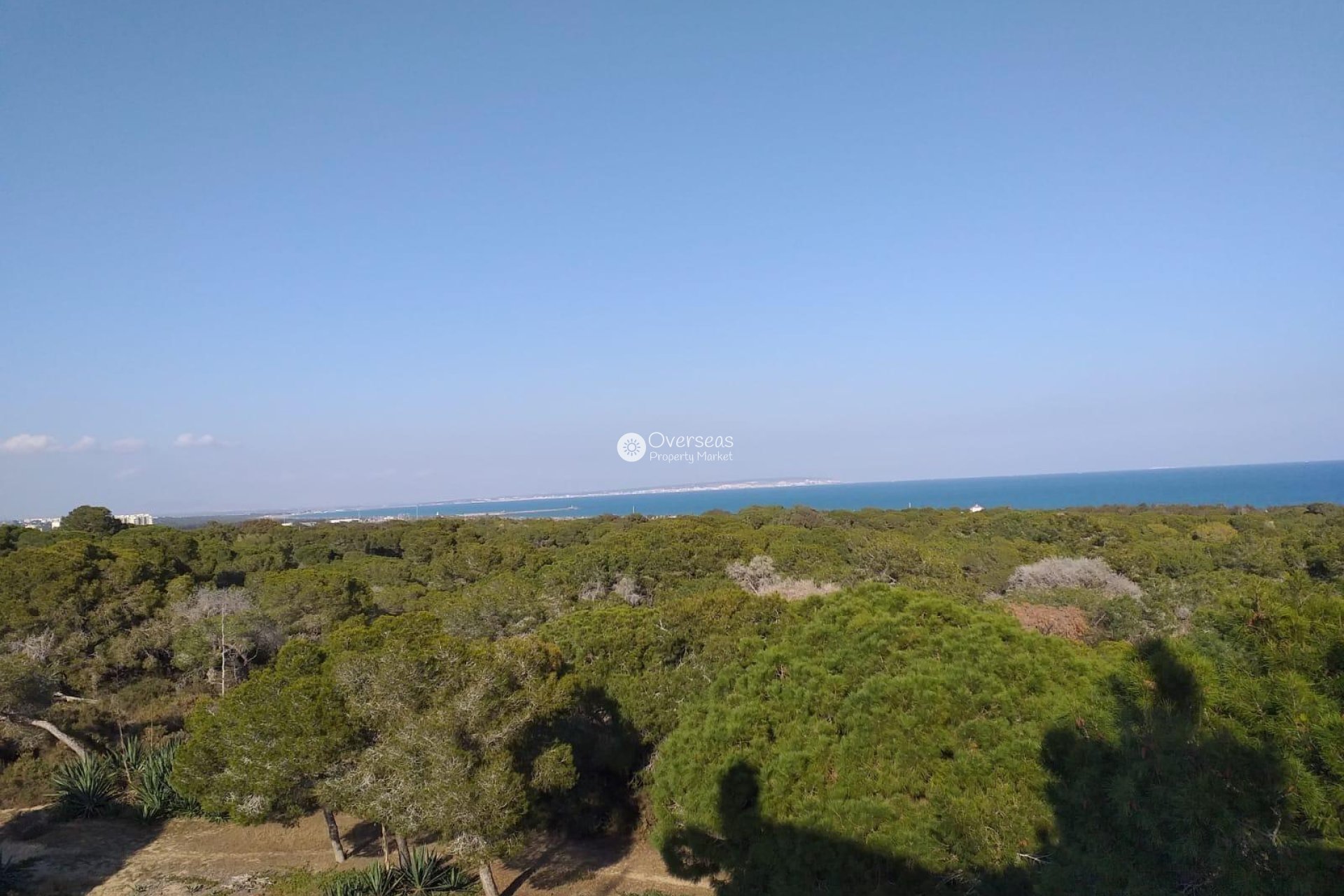 Nowy budynek - Ground floor apartment -
Guardamar del Segura