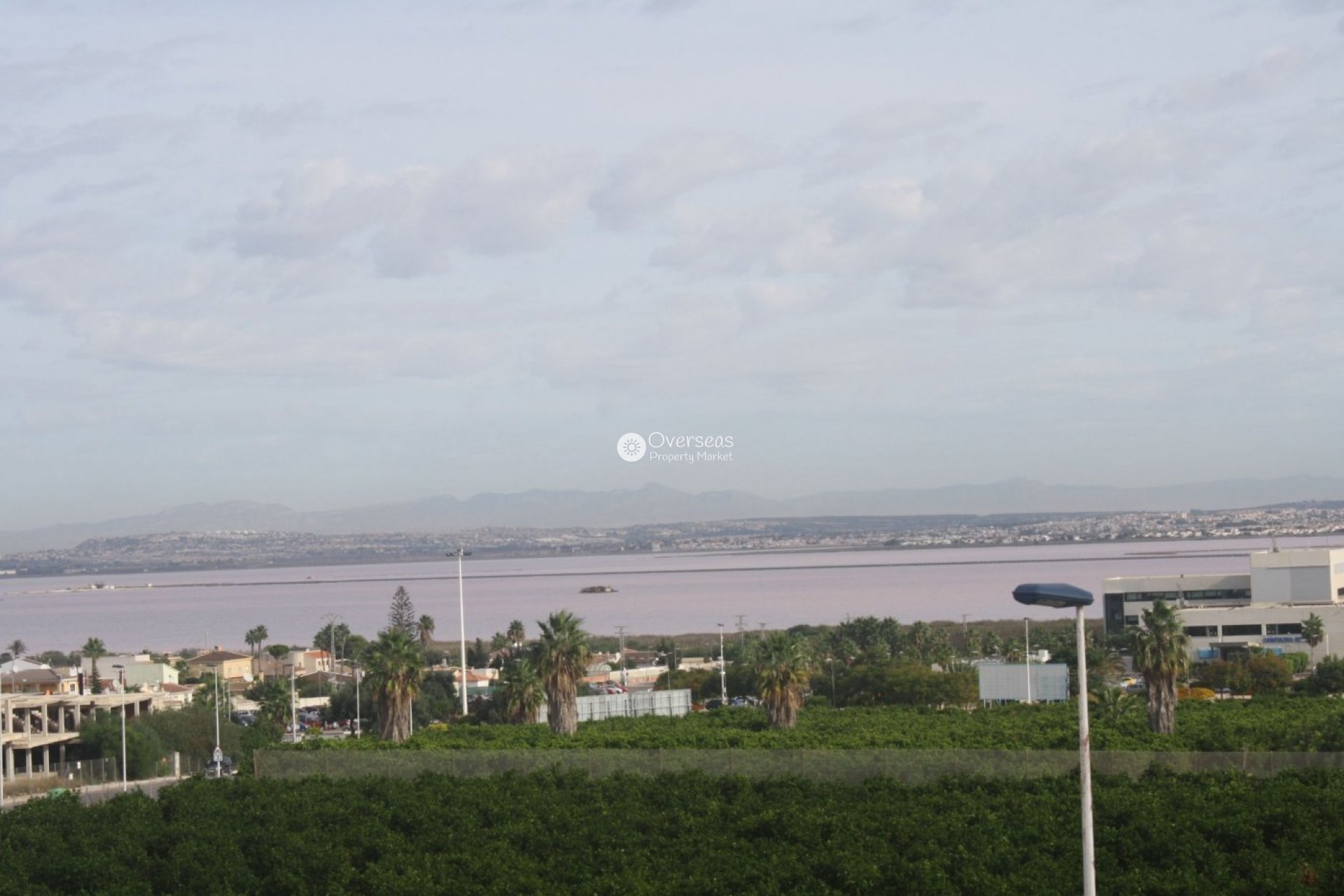 Nowy budynek - Kamienica -
Torrevieja - Los Altos