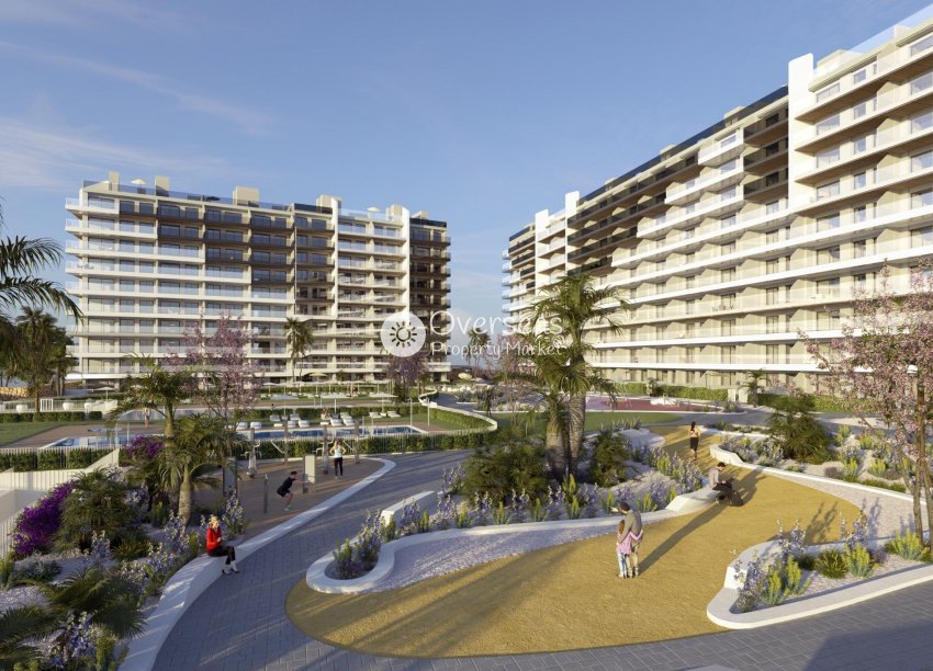 Nowy budynek - Mieszkanie w bloku -
Torrevieja