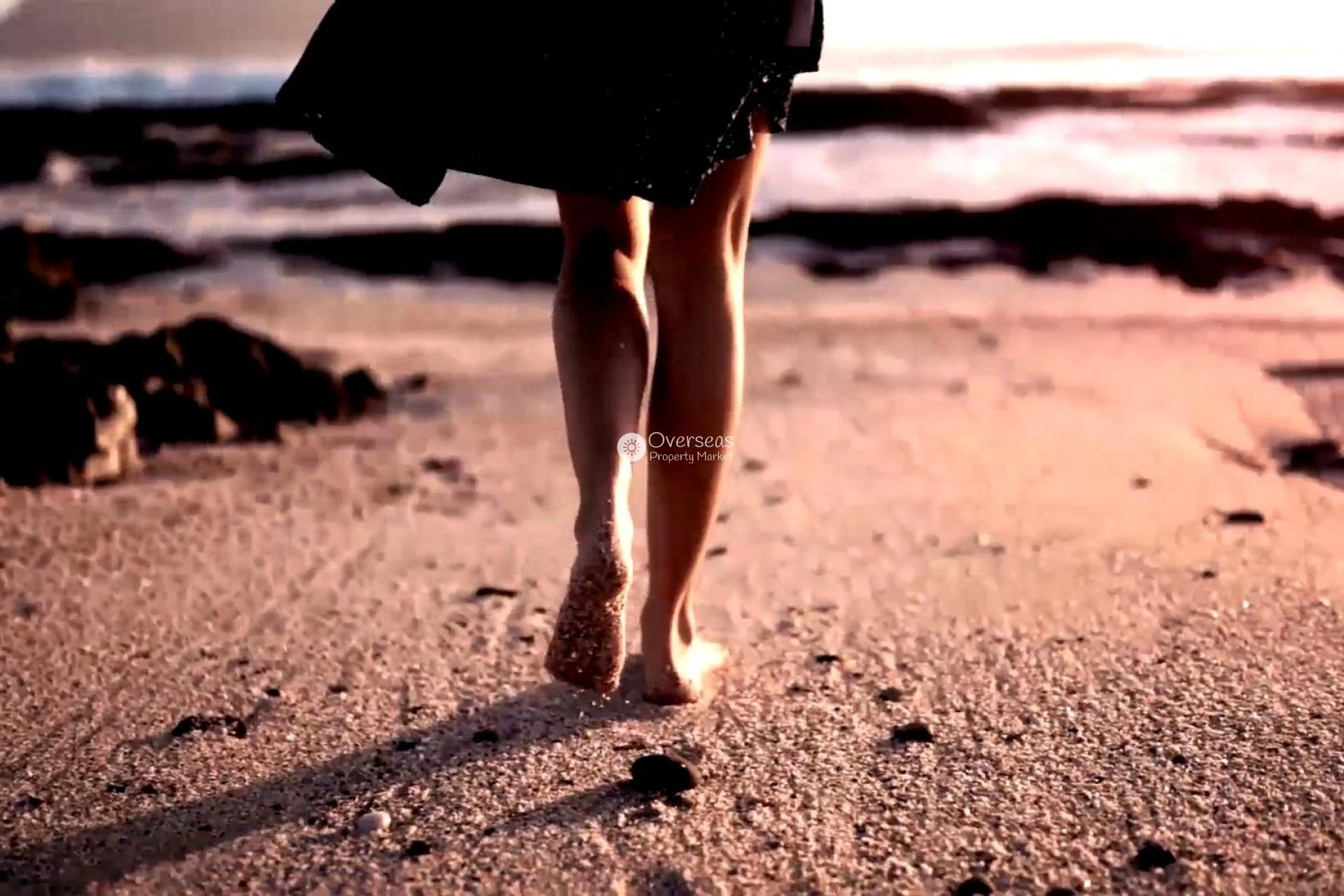 Nowy budynek - studio -
Torrevieja