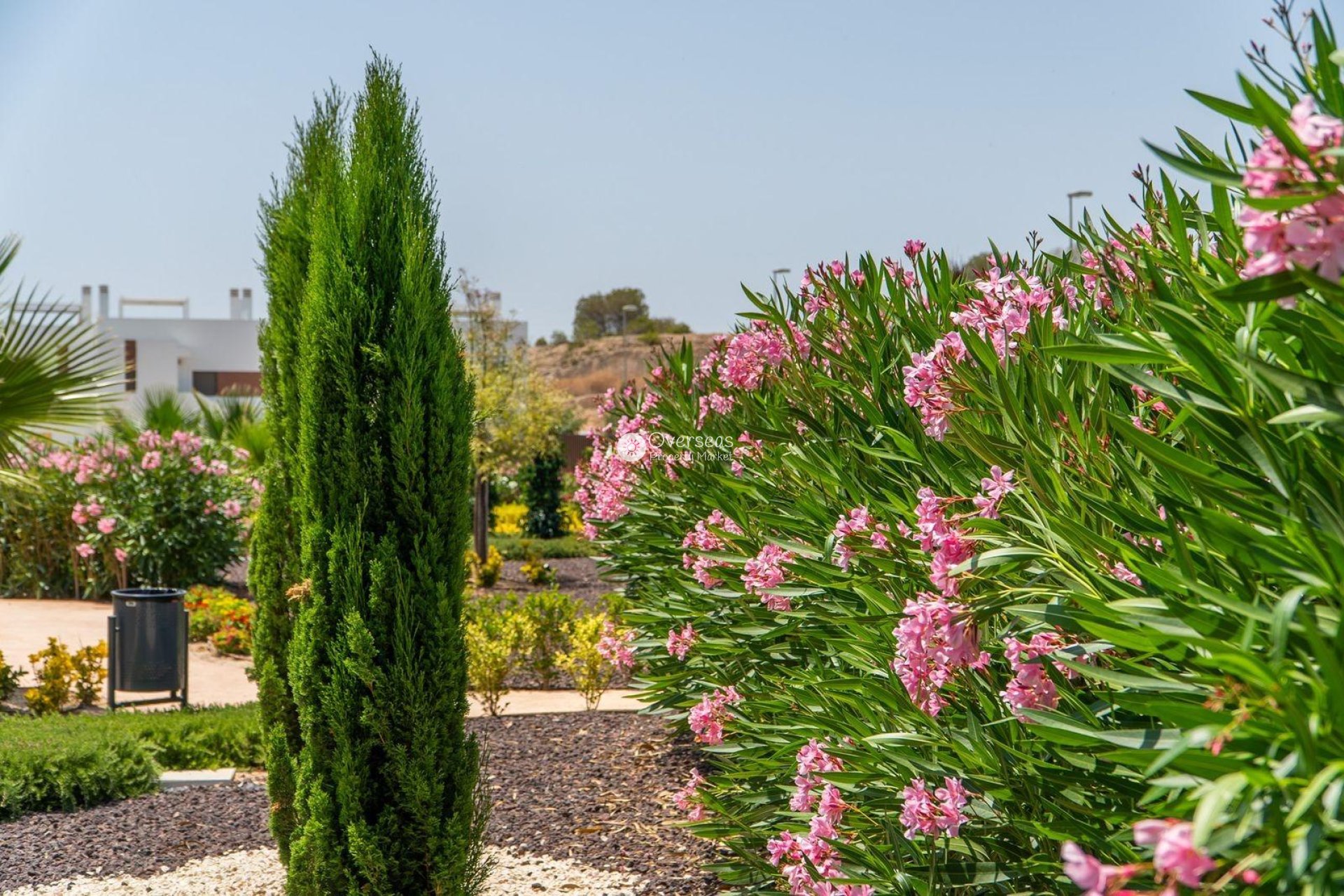 Nowy budynek - Top Floor Bungalow -
Orihuela