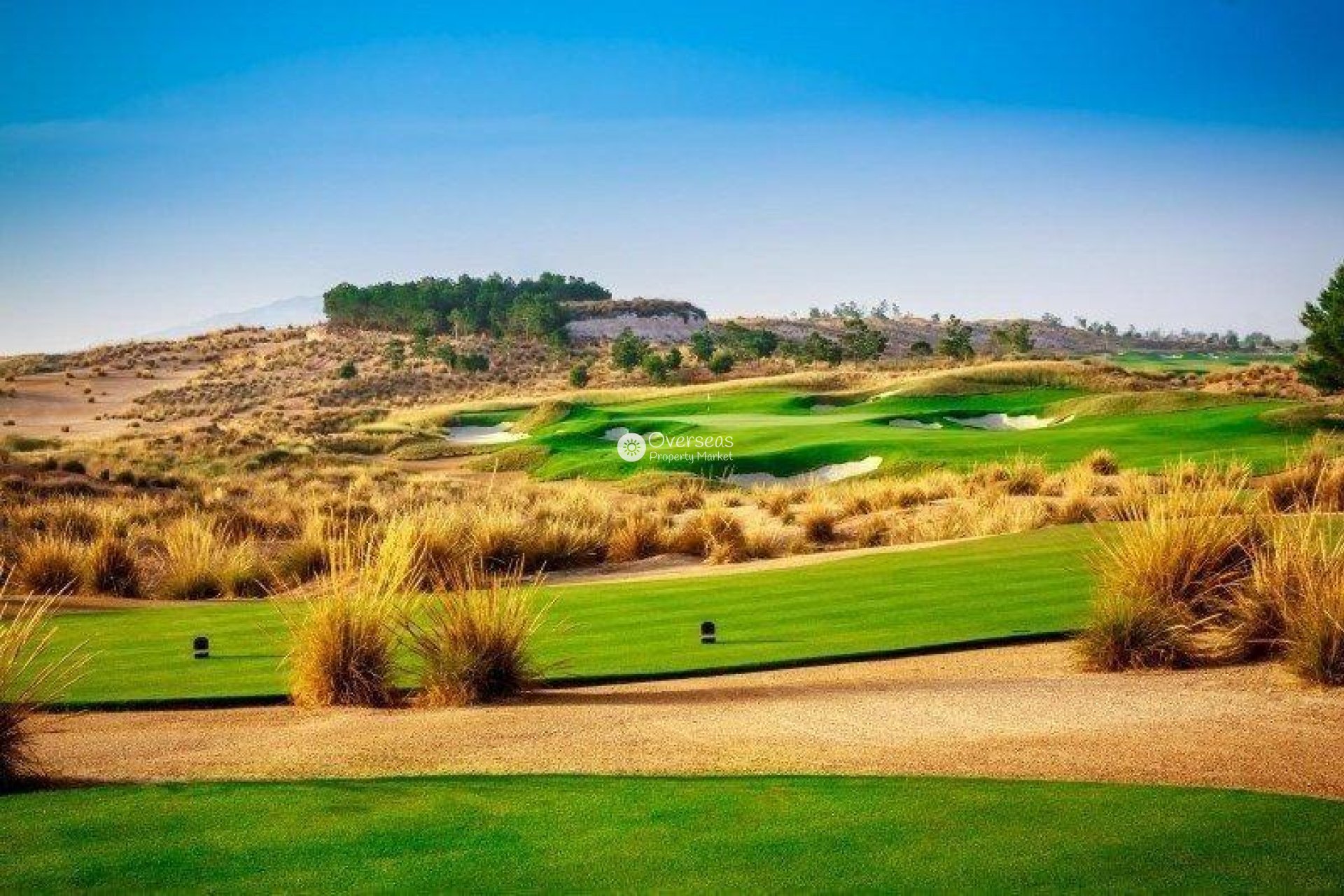 Nowy budynek - Villa -
Alhama De Murcia
