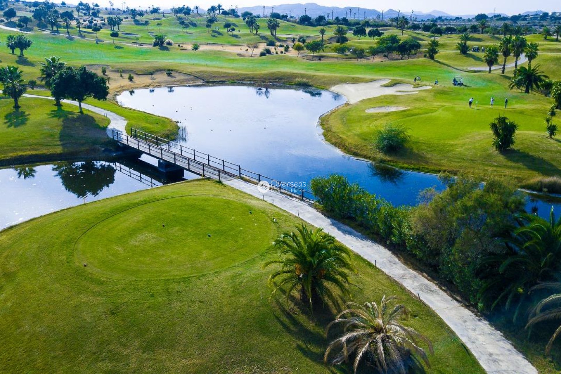 Nowy budynek - Villa -
Orihuela