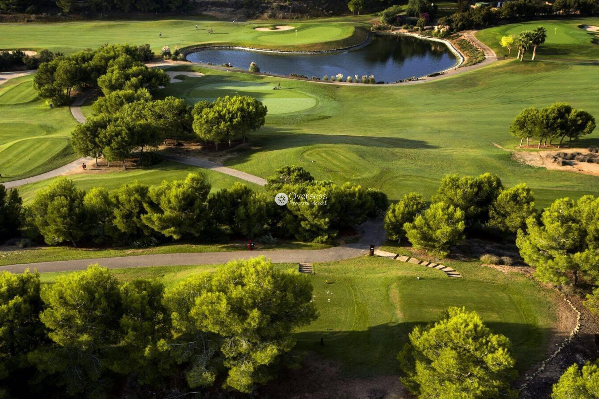 Nowy budynek - Villa -
Pilar de la Horadada - Lo Romero Golf