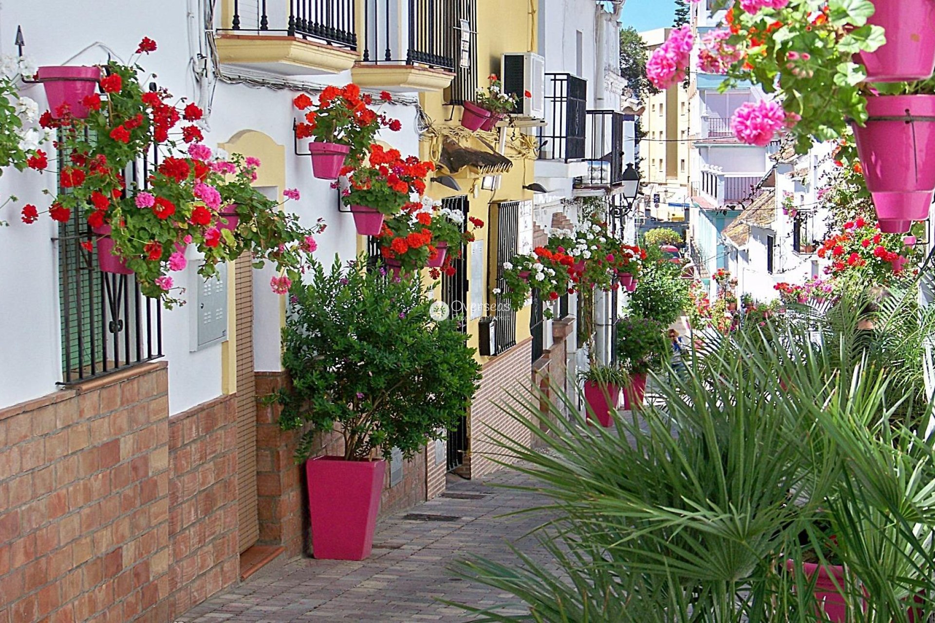 Obra nueva - Apartamento / piso -
Estepona