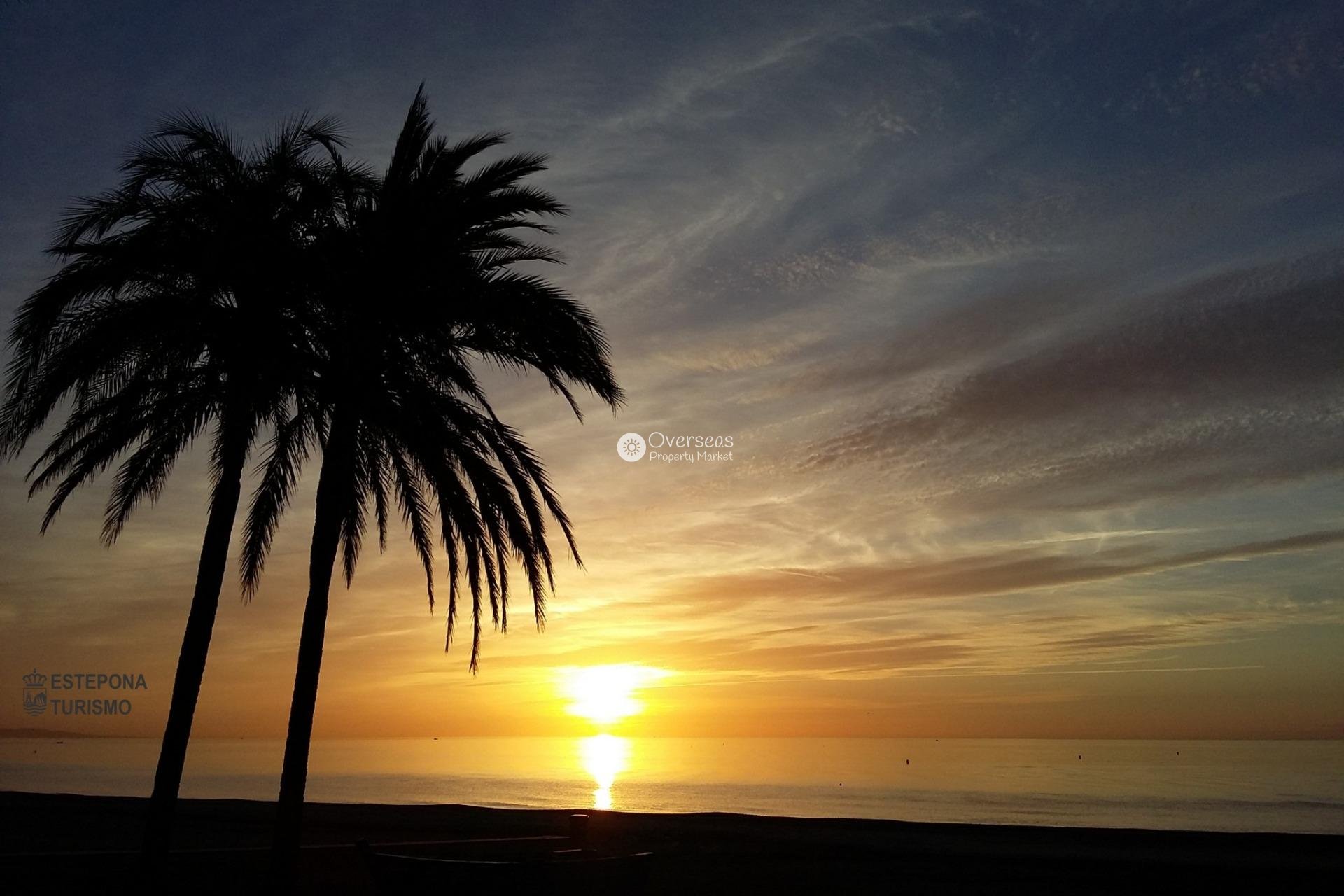 Obra nueva - Apartamento / piso -
Estepona