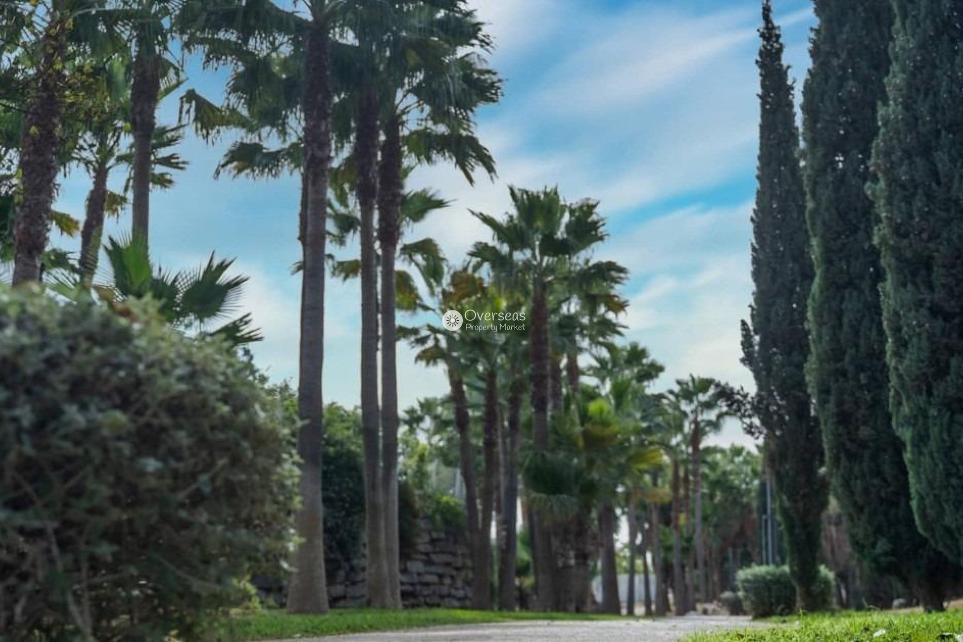 Obra nueva - Ático -
Fuengirola