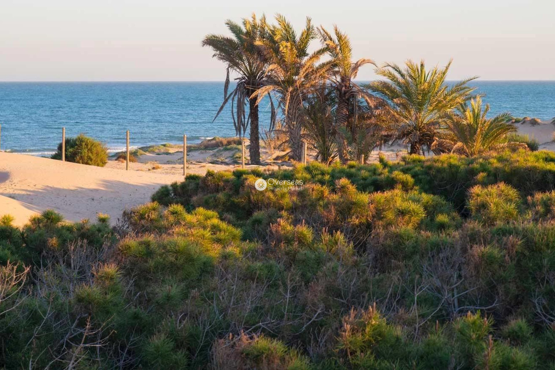 Obra nueva - Ático -
Guardamar del Segura