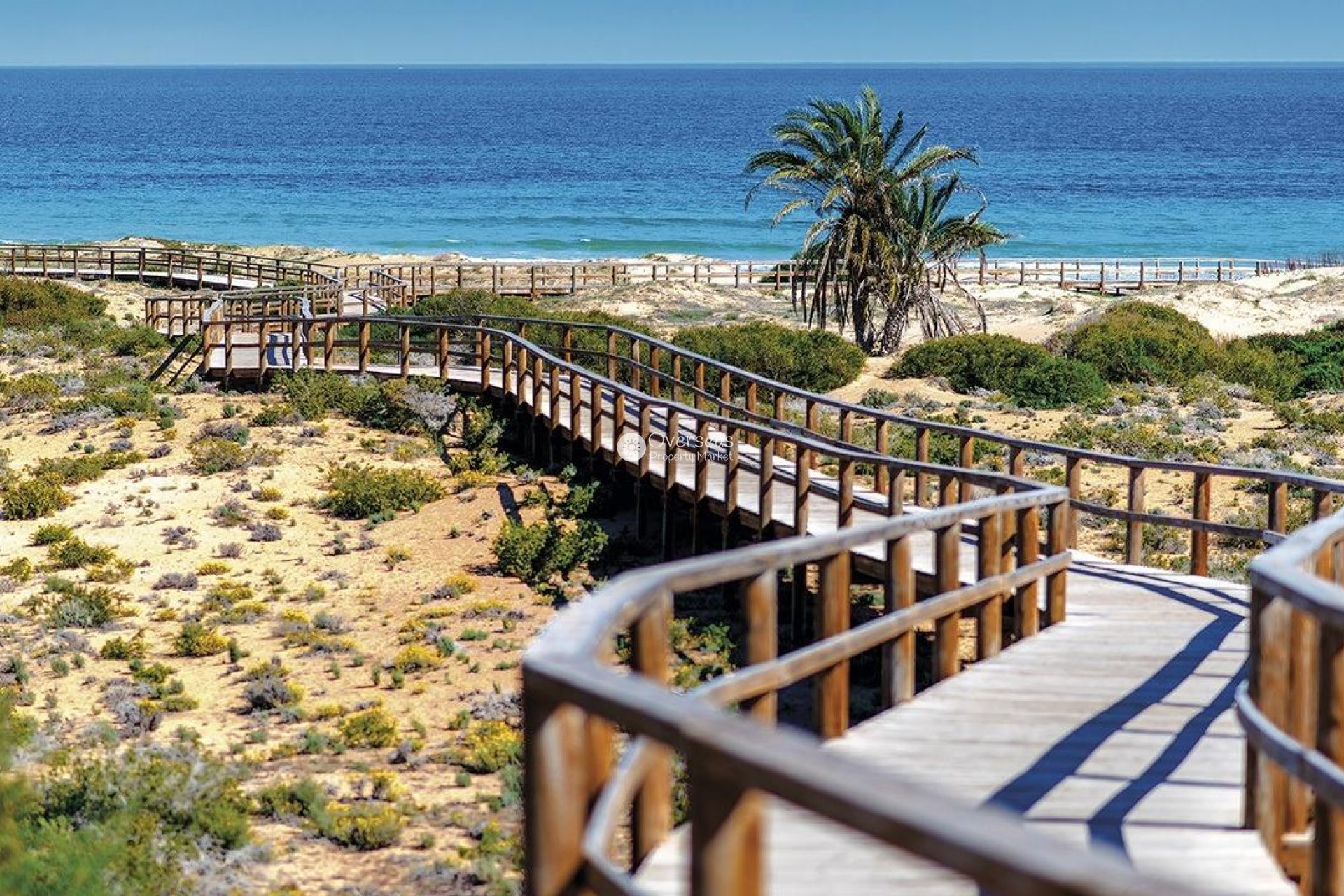 Obra nueva - Ático -
Monforte del Cid