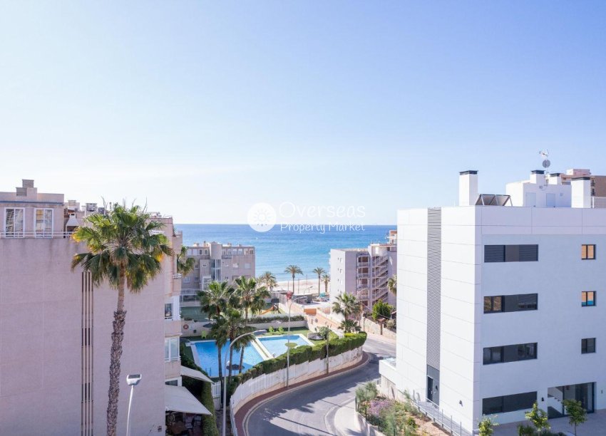 Obra nueva - Ground floor apartment -
El Campello