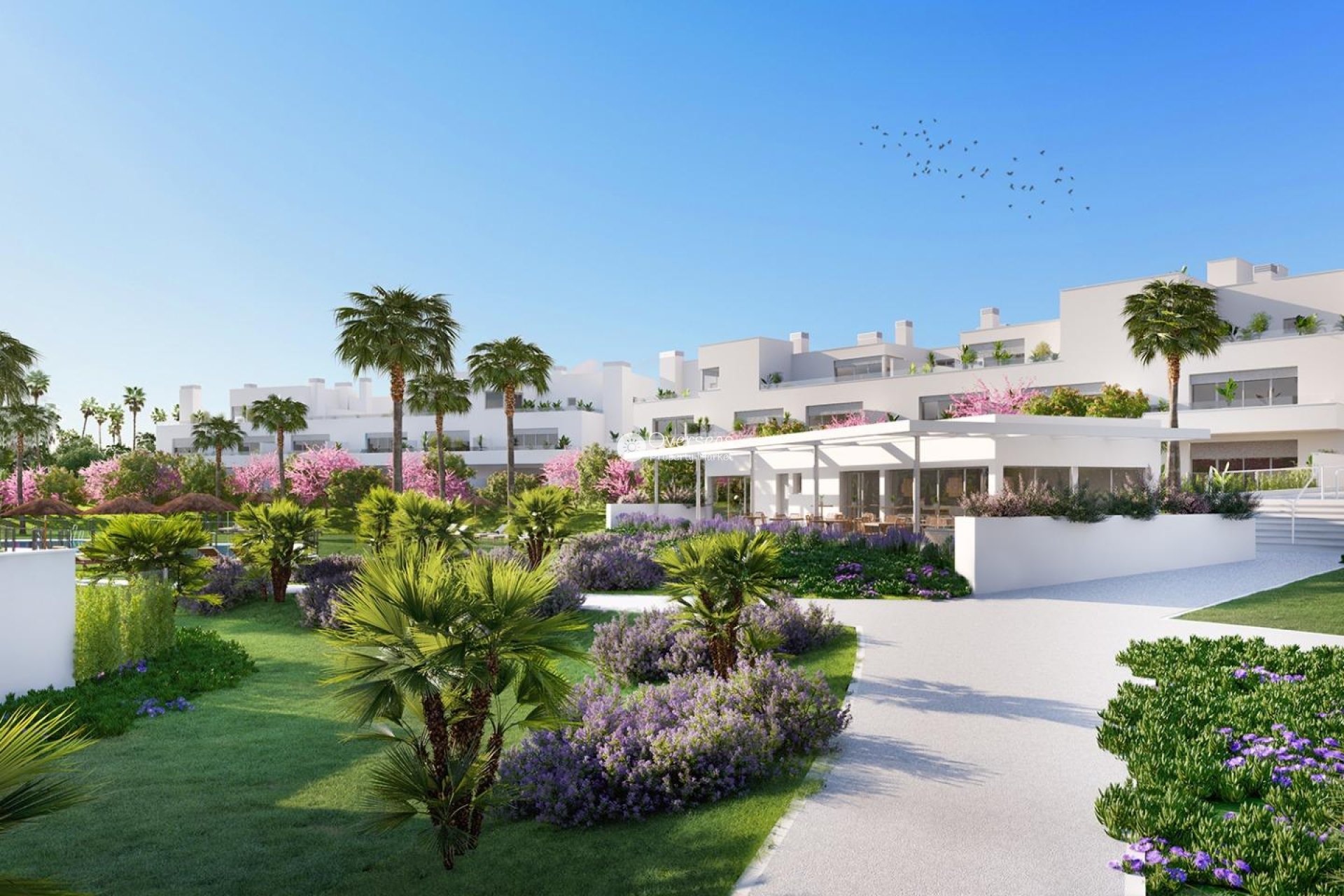 Obra nueva - Ground floor apartment -
Estepona