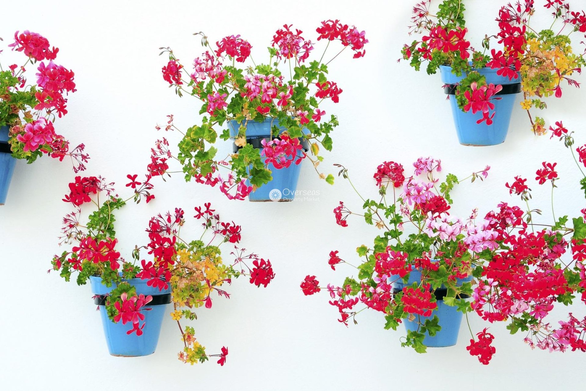 Obra nueva - Ground floor apartment -
Mijas