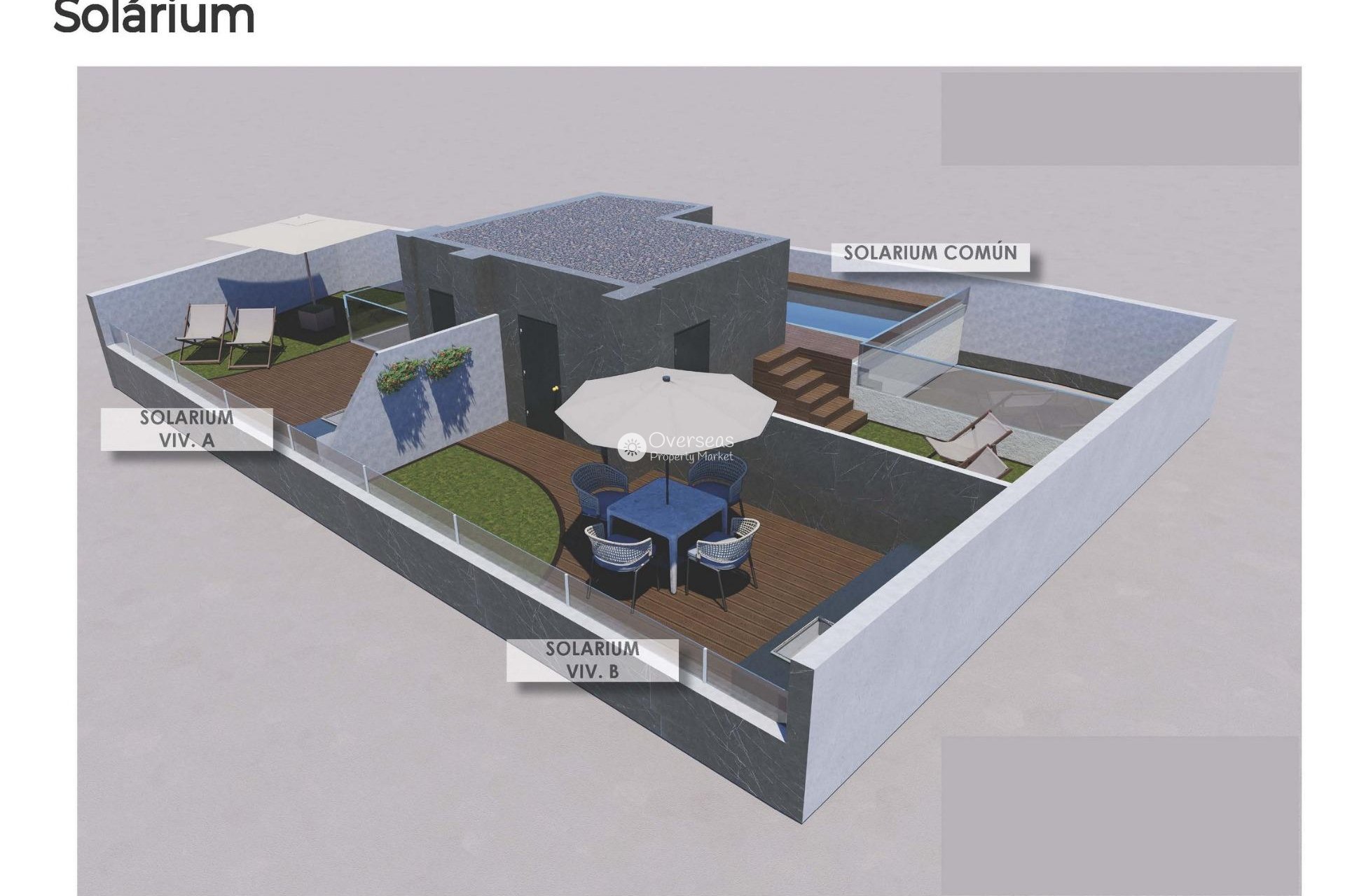 Obra nueva - Ground floor apartment -
Torrevieja