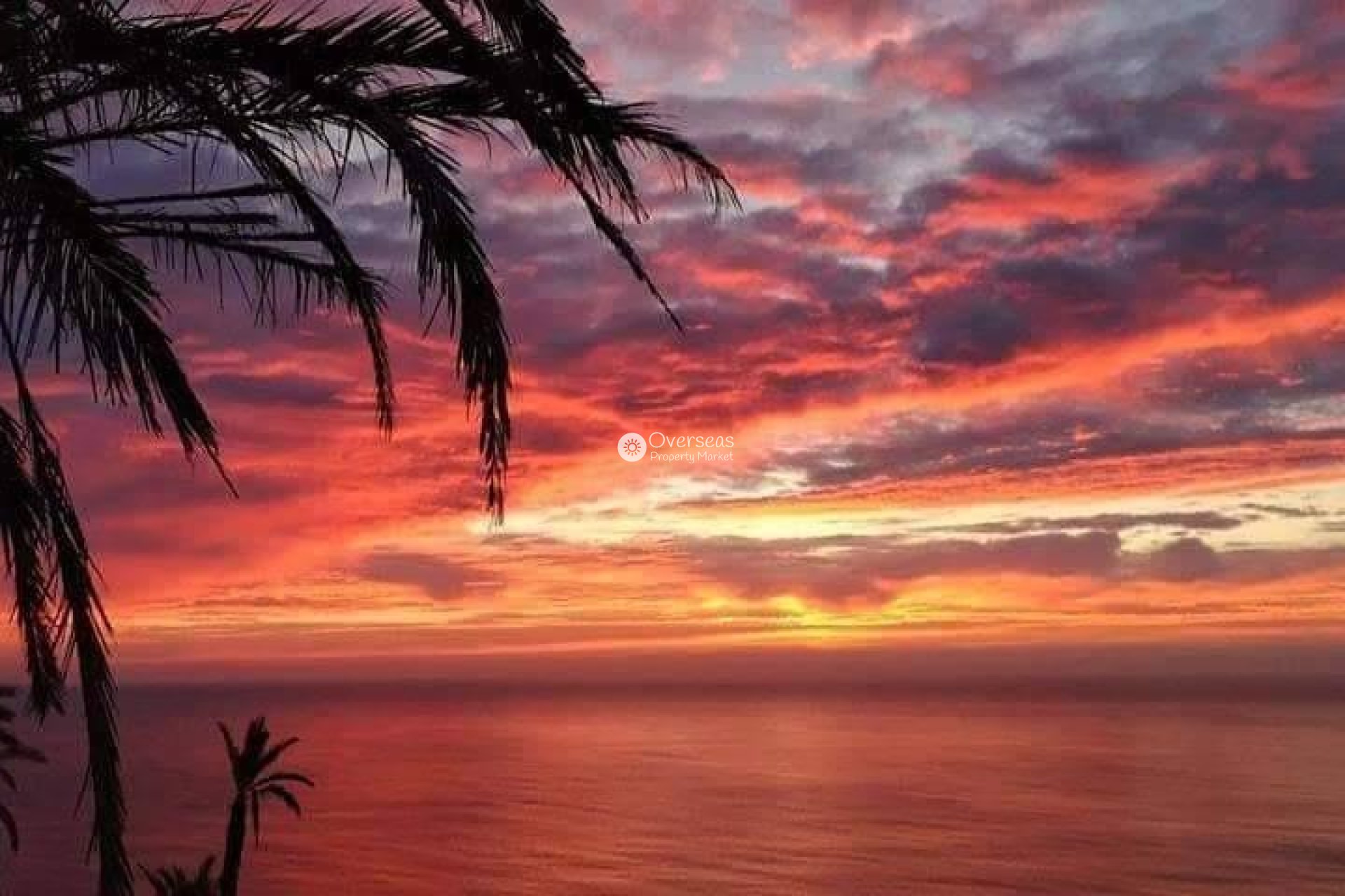 Obra nueva - Top Floor Bungalow -
Torrevieja