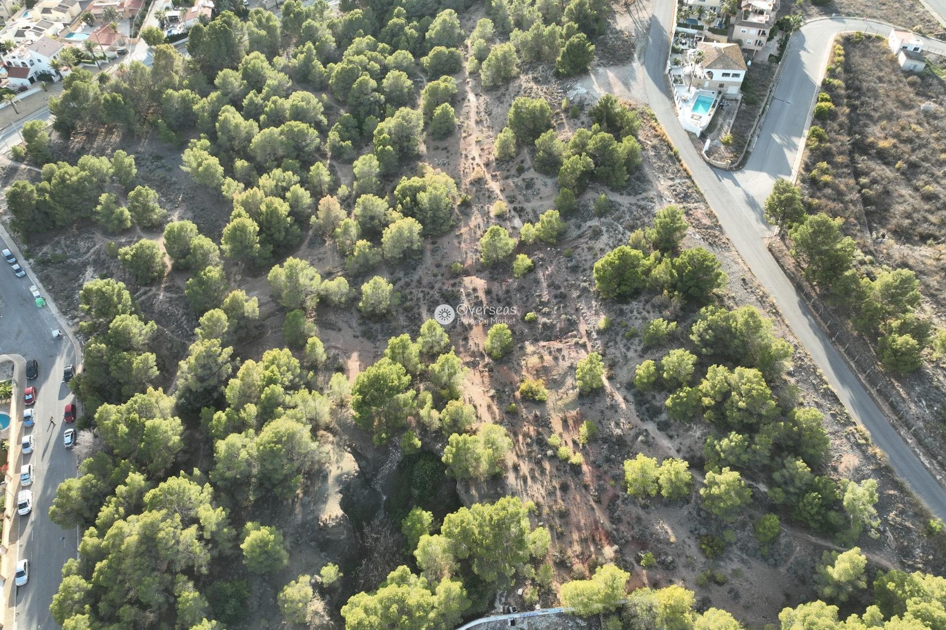 Obra nueva - Villa -
Alfas del Pí - Escandinavia